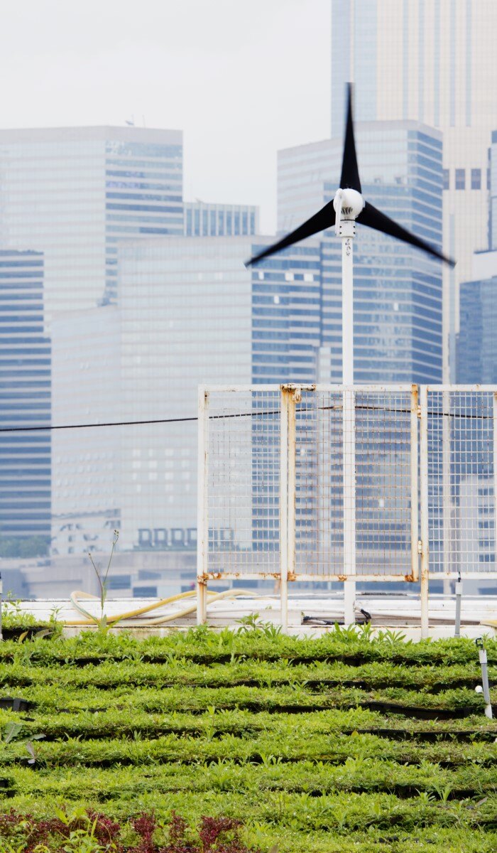 Renewable energy green and urban agriculture